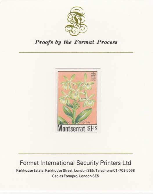 Montserrat 1985 Orchids $1.15 (Eppidendrum difforme) imperf proof mounted on Format International proof card, as SG 632, stamps on , stamps on  stamps on flowers, stamps on  stamps on orchids