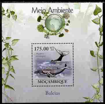 Mozambique 2010 The Environment - Whales perf souvenir sheet unmounted mint Michel BL 312, stamps on animals, stamps on mammals, stamps on whales, stamps on marine life, stamps on environment, stamps on 