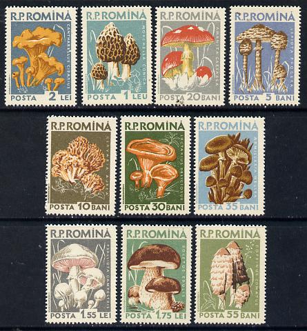 Rumania 1958 Mushrooms set of 10 unmounted mint, SG 2583-92, Mi 1721-30, stamps on fungi