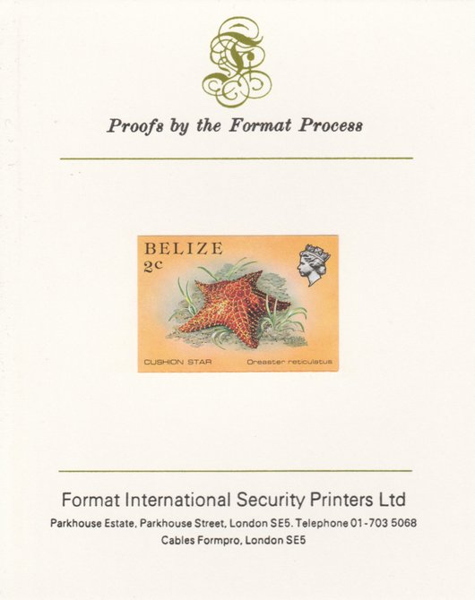 Belize 1984-88 Cushion Star 2c def imperf proof mounted on Format International proof card as SG 767, stamps on marine-life