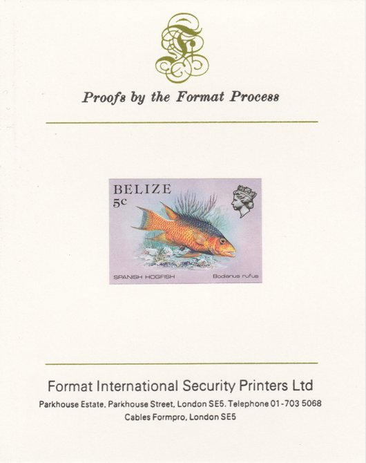 Belize 1984-88 Hogfish 5c def imperf proof mounted on Format International proof card as SG 770, stamps on fish, stamps on marine-life