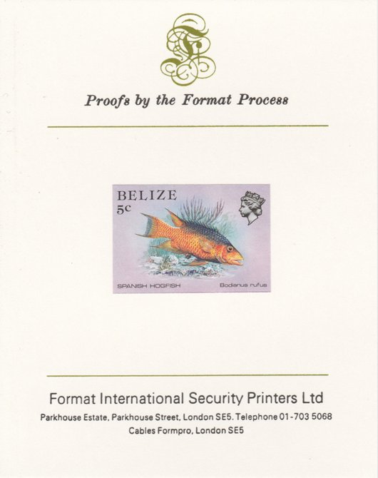 Belize 1984-88 Hogfish 5c def imperf proof mounted on Format International proof card as SG 770, stamps on , stamps on  stamps on fish     marine-life