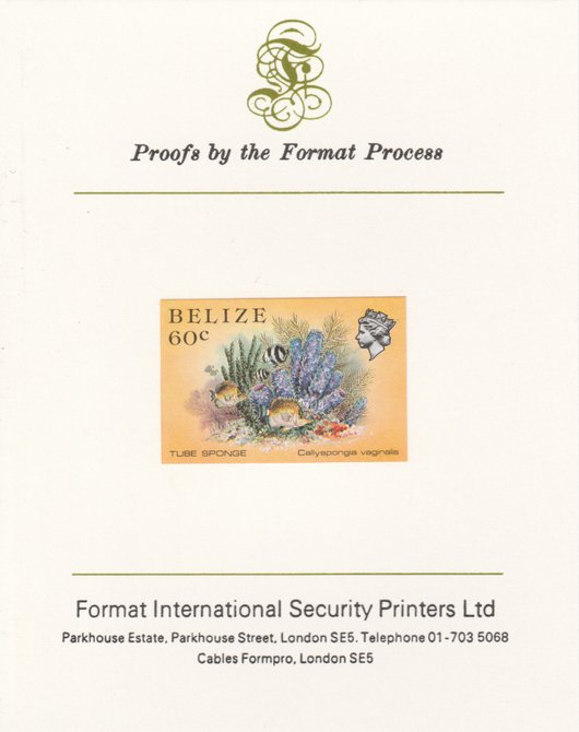 Belize 1984-88 Tube Sponge 60c def imperf proof mounted on Format International proof card as SG 776, stamps on , stamps on  stamps on marine-life