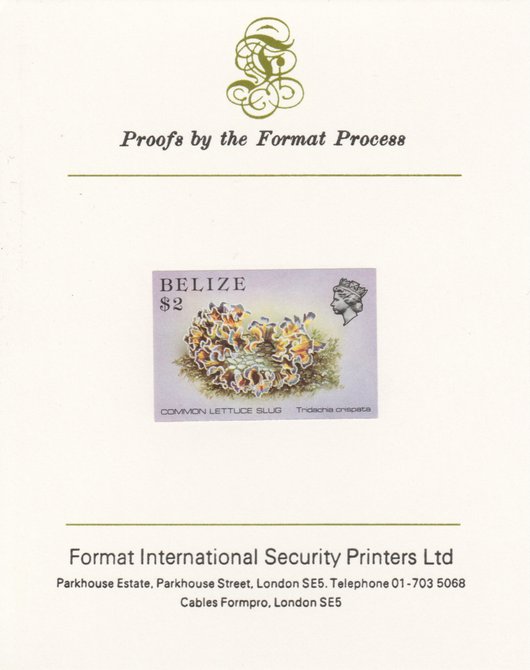 Belize 1984-88 Sea (Lettuce) Slug $2 def imperf proof mounted on Format International proof card as SG 779, stamps on marine-life