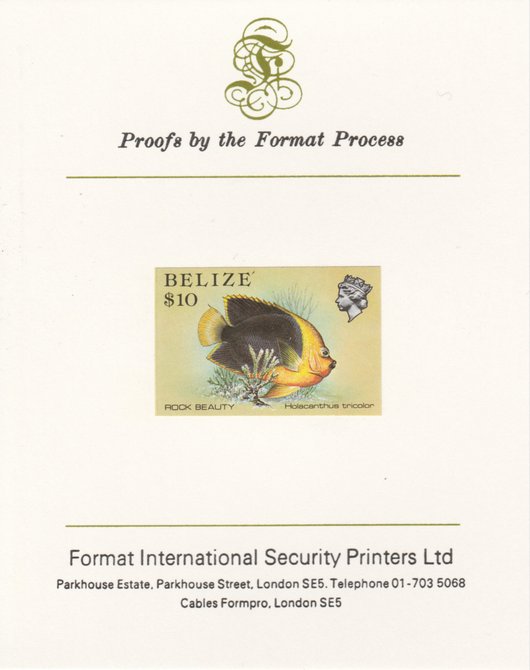 Belize 1984-88 Rock Beauty $10 def imperf proof mounted on Format International proof card as SG 781, stamps on , stamps on  stamps on fish     marine-life