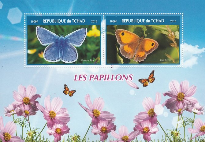 Chad 2016 Butterflies #1 perf sheetlet containing 2 values unmounted mint. Note this item is privately produced and is offered purely on its thematic appeal. . , stamps on , stamps on  stamps on butterflies