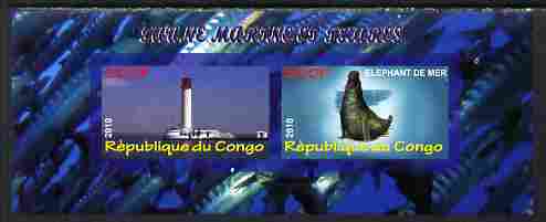 Congo 2010 Lighthouses & Marine Fauna #4 imperf sheetlet containing 2 values unmounted mint, stamps on , stamps on  stamps on lighthouses, stamps on  stamps on marine life, stamps on  stamps on animals, stamps on  stamps on seals