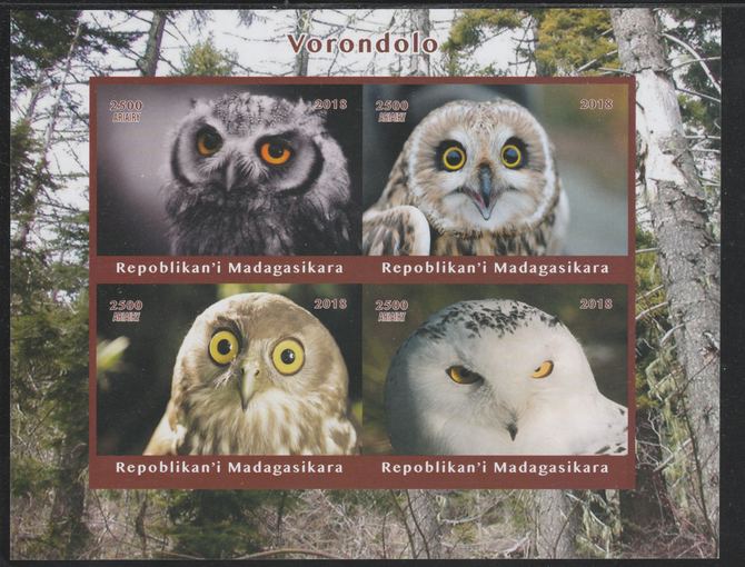 Madagascar 2018 Owls imperf sheetlet containing 4 values unmounted mint. Note this item is privately produced and is offered purely on its thematic appeal., stamps on , stamps on  stamps on birds, stamps on  stamps on birds of prey, stamps on  stamps on owls