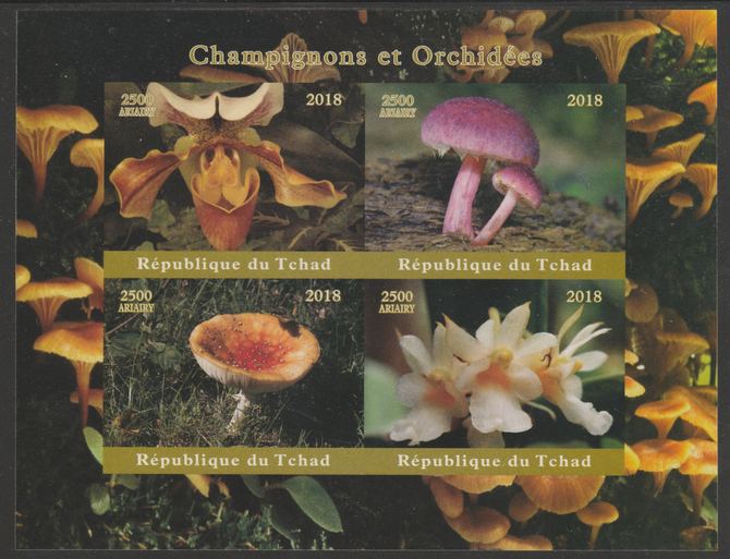 Chad 2018 Orchids & Mushrooms imperf sheetlet containing 4 values unmounted mint. Note this item is privately produced and is offered purely on its thematic appeal, it has no postal validity, stamps on , stamps on  stamps on flowers, stamps on  stamps on orchids, stamps on  stamps on fungi