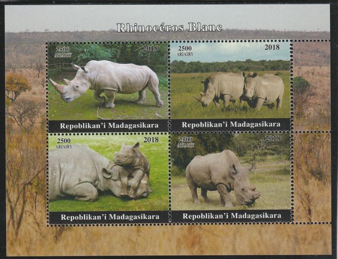 Madagascar 2018 Rhinos perf sheetlet containing 4 values unmounted mint. Note this item is privately produced and is offered purely on its thematic appeal., stamps on animals, stamps on rhinos, stamps on rhinoceros