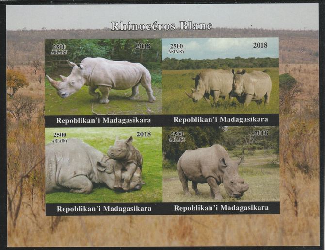 Madagascar 2018 Rhinos imperf sheetlet containing 4 values unmounted mint. Note this item is privately produced and is offered purely on its thematic appeal., stamps on , stamps on  stamps on animals, stamps on  stamps on rhinos, stamps on  stamps on rhinoceros