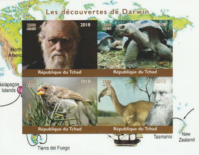 Madagascar 2018 Charles Darwin imperf sheetlet containing 4 values unmounted mint. Note this item is privately produced and is offered purely on its thematic appeal., stamps on , stamps on  stamps on personalities, stamps on  stamps on darwin, stamps on  stamps on animals, stamps on  stamps on birds, stamps on  stamps on reptiles