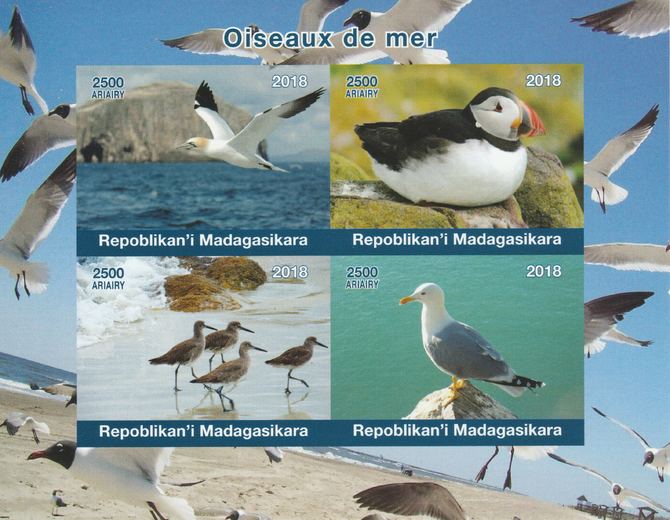 Madagascar 2018 Sea Birds imperf sheetlet containing 4 values unmounted mint. Note this item is privately produced and is offered purely on its thematic appeal., stamps on birds, stamps on puffins