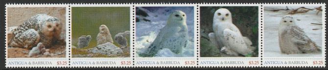 Antigua & Barbuda unissued Owls perforated strip of 5 essays produced on official blank stamp paper unmounted mint, apparently no more than 15 strips exist. Slight offset..., stamps on birds, stamps on birds of prey, stamps on owls