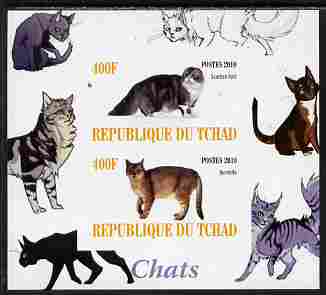 Chad 2010 Cats #3 imperf sheetlet containing 2 values unmounted mint, stamps on cats