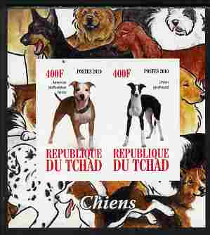 Chad 2010 Dogs #2 imperf sheetlet containing 2 values unmounted mint, stamps on , stamps on  stamps on dogs