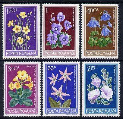 Rumania 1979 Protected Flowers set of 6 unmounted mint, Mi 3581-86, stamps on , stamps on  stamps on flowers, stamps on  stamps on violas