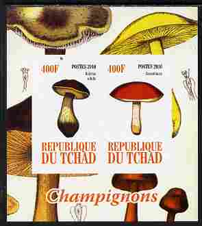 Chad 2010 Mushrooms #1 imperf sheetlet containing 2 values unmounted mint, stamps on fungi