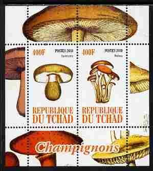 Chad 2010 Mushrooms #2 perf sheetlet containing 2 values unmounted mint, stamps on , stamps on  stamps on fungi