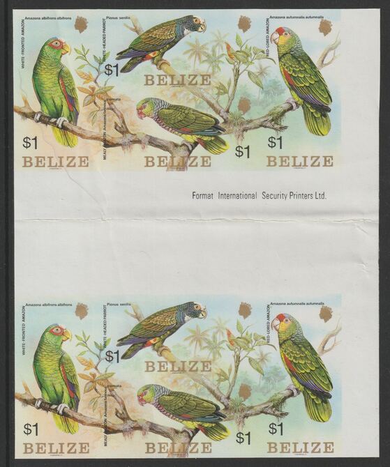 Belize 1984 Parrots set of 4 - two imperforate se-tenant blocks with gutter between from one of very few known uncut proof sheets,  minor gum disturbances and folded through gutter, as SG 806a, stamps on birds, stamps on parrots