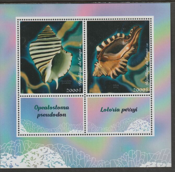 Congo 2018 Shells perf sheet containing two values plus two labels unmounted mint, stamps on , stamps on  stamps on marine life, stamps on  stamps on shells