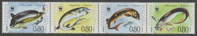 Bulgaria 2004 WWF Sturgeon perf strip of four values unmounted mint, SG 4516-19, stamps on fish, stamps on  wwf , stamps on sturgeon, stamps on 
