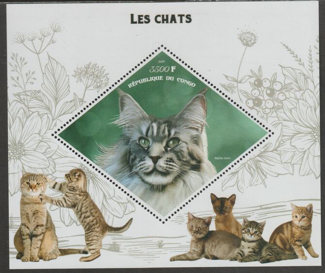 Congo 2019 Domestic Cats perf m/sheet containing one diamond shaped value unmounted mint, stamps on shaped, stamps on diamond, stamps on cats