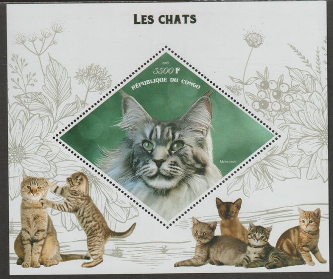 Congo 2019 Domestic Cats perf m/sheet containing one diamond shaped value unmounted mint, stamps on , stamps on  stamps on shaped, stamps on  stamps on diamond, stamps on  stamps on cats