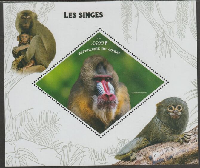 Congo 2019 Monkeys perf m/sheet containing one diamond shaped value unmounted mint, stamps on , stamps on  stamps on shaped, stamps on  stamps on diamond, stamps on  stamps on animals, stamps on  stamps on monkeys, stamps on  stamps on apes