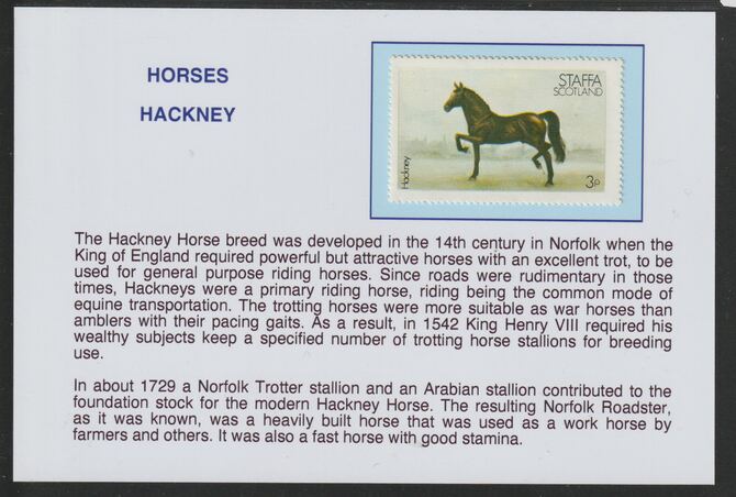 Staffa 1977 Horses - Hackney 3p  mounted on glossy card with descriptive notes - privately produced 150mm x 100mm, stamps on horses
