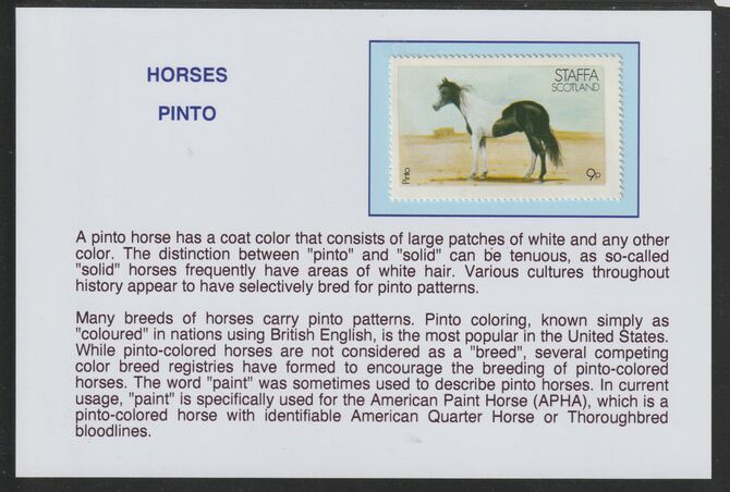 Staffa 1977 Horses - Pinto 9p  mounted on glossy card with descriptive notes - privately produced 150mm x 100mm, stamps on , stamps on  stamps on horses