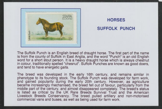 Staffa 1977 Horses - Suffolk Punch 15p  mounted on glossy card with descriptive notes - privately produced 150mm x 100mm, stamps on horses