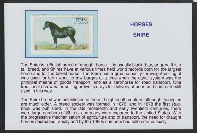 Staffa 1977 Horses - Shire 30p  mounted on glossy card with descriptive notes - privately produced 150mm x 100mm, stamps on horses