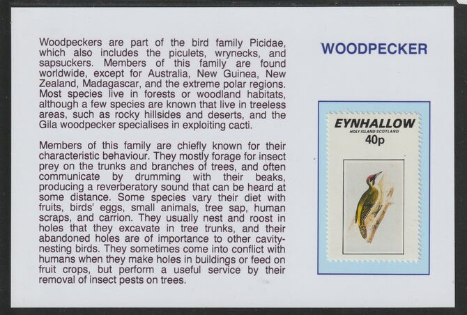 Eynhallow 1981 Birds - Woodpecker 40p mounted on glossy card with historical notes - privately produced 150mm x 100mm, stamps on birds, stamps on woodpeckers