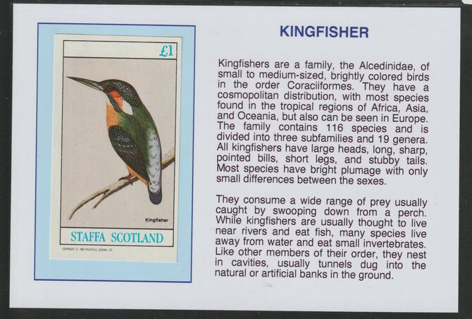 Staffa 1982 Kingfisher Â£1 souvenir sheet mounted on glossy card with historical notes - privately produced 150mm x 100mm, stamps on birds, stamps on kingfisher