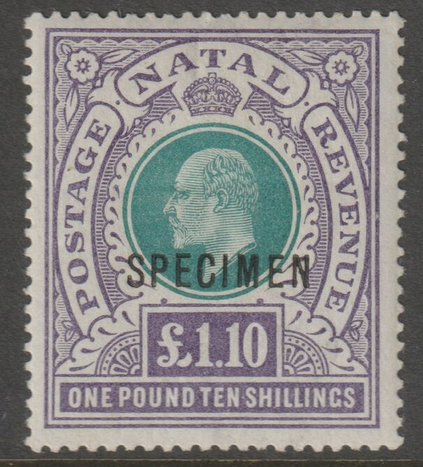 NATAL 1902 KE7 Â£1.10s optd SPECIMEN with gum and only about 750 produced SG 143s, stamps on 