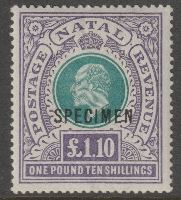 NATAL 1902 KE7 £1.10s opt'd SPECIMEN with gum and only about 750 produced SG 143s, stamps on , stamps on  stamps on 