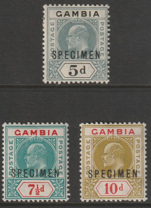 GAMBIA 1904 KE7 MCA set of 3 overprinted SPECIMEN mainly fine and only about 750 produced SG 63s-66s, stamps on xxx