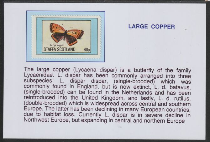 Staffa 1982 Butterflies - Large Copper 40p mounted on glossy card with descriptive notes - privately produced 150mm x 100mm, stamps on , stamps on  stamps on butterflies