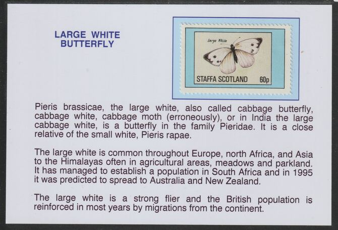 Staffa 1982 Butterflies - Large White 60p mounted on glossy card with descriptive notes - privately produced 150mm x 100mm, stamps on butterflies