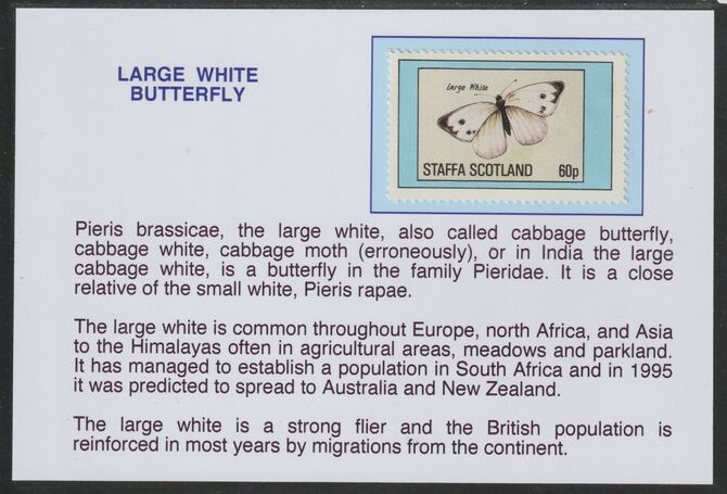 Staffa 1982 Butterflies - Large White 60p mounted on glossy card with descriptive notes - privately produced 150mm x 100mm, stamps on , stamps on  stamps on butterflies