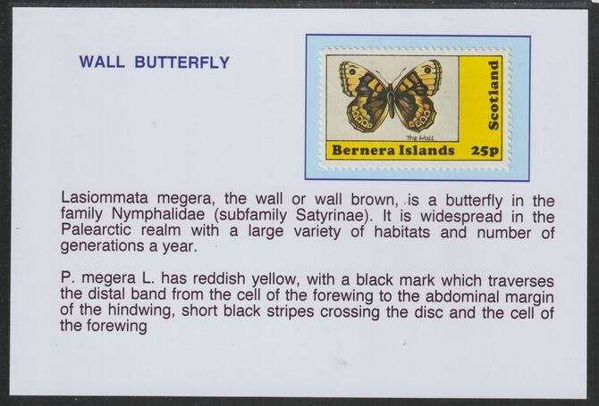 Bernera 1981 Butterflies - Wall Butterfly 25p mounted on glossy card with descriptive notes - privately produced 150mm x 100mm, stamps on , stamps on  stamps on butterflies