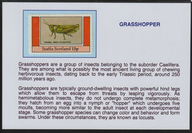Staffa 1982 Insects -Grasshopper 15p mounted on glossy card with descriptive notes - privately produced 150mm x 100mm, stamps on insects, stamps on grasshopper