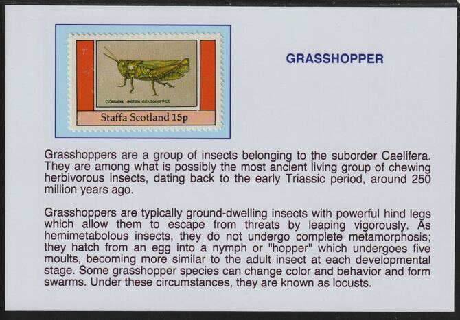 Staffa 1982 Insects -Grasshopper 15p mounted on glossy card with descriptive notes - privately produced 150mm x 100mm, stamps on , stamps on  stamps on insects, stamps on  stamps on grasshopper