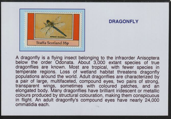 Staffa 1982 Insects -Dragonfly 35p mounted on glossy card with descriptive notes - privately produced 150mm x 100mm, stamps on insects, stamps on dragonfly