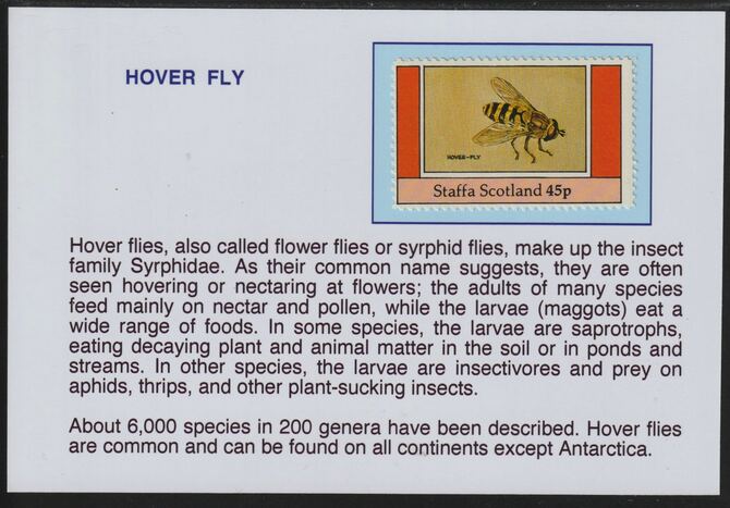 Staffa 1982 Insects -Hover Fly 45p mounted on glossy card with descriptive notes - privately produced 150mm x 100mm, stamps on , stamps on  stamps on insects, stamps on  stamps on 