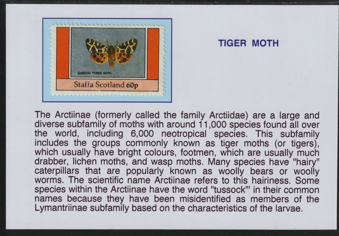 Staffa 1982 Insects - Tiger Moth 60p mounted on glossy card with descriptive notes - privately produced 150mm x 100mm, stamps on insects, stamps on moths