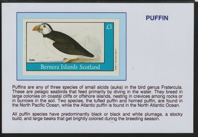 Bernera 1982 Birds - Puffin £1 souvenir sheet mounted on glossy card with descriptive notes - privately produced 150mm x 100mm, stamps on birds, stamps on puffins