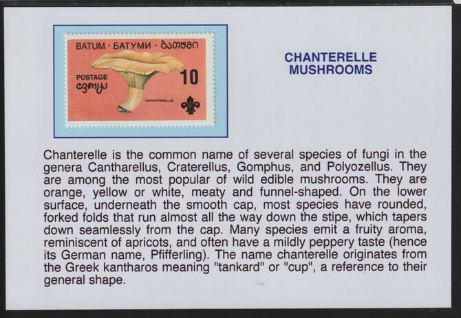 Batum 1994 Fungi -Chantelle Mushroom mounted on glossy card with descriptive notes - privately produced 150mm x 100mm, stamps on fungi, stamps on scouts