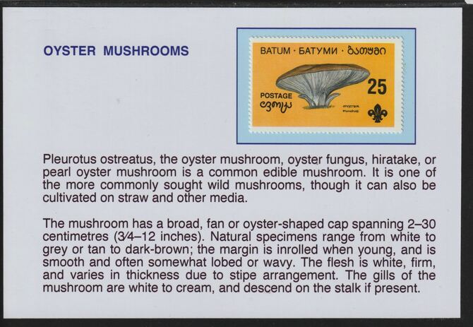 Batum 1994 Fungi -Oyster Mushroom mounted on glossy card with descriptive notes - privately produced 150mm x 100mm, stamps on fungi, stamps on scouts